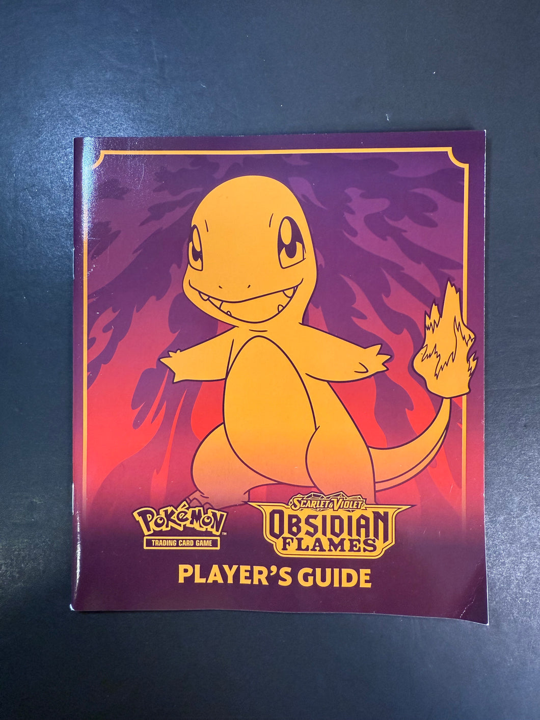 Pokemon Obsidian Flames Player’s Guide Book - Charmander