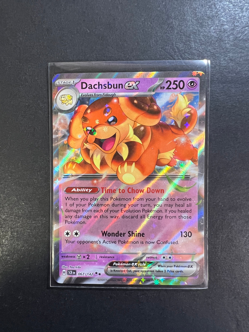 Dachsbun ex - 067/142 Ultra Rare - Stellar Crown