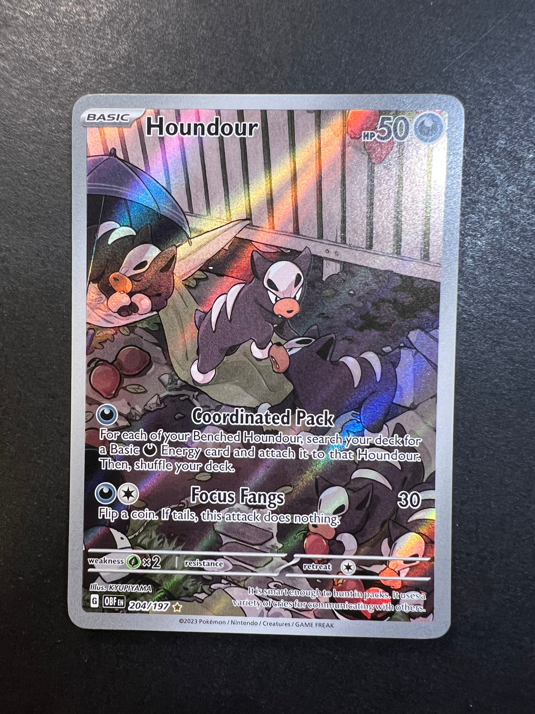 Houndour - 204/197 Holo Ultra Rare - Obsidian Flames JAB Games13 Houndour - 204/197 Holo Ultra Rare - Obsidian Flames JAB Games13