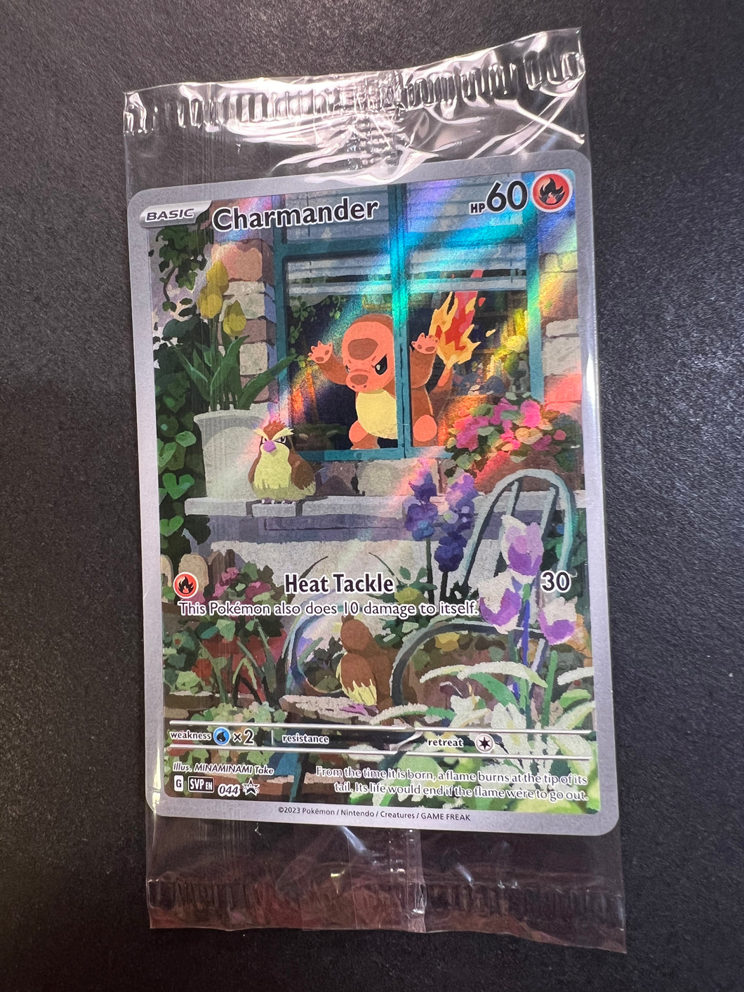 charmander full art pokemon card Charmander - 044 Full Art Promo