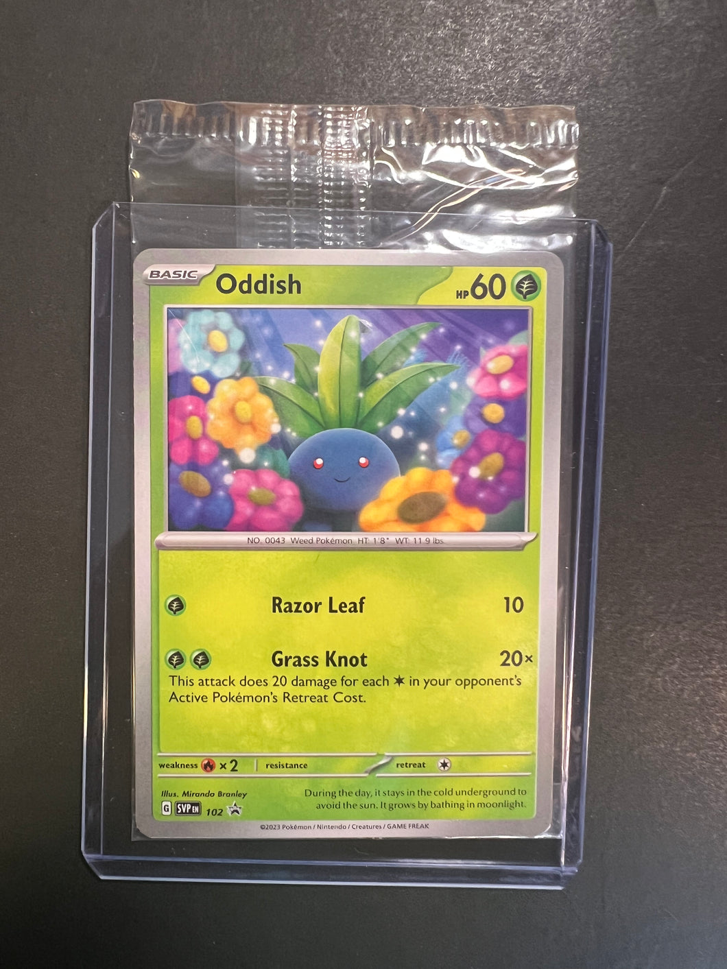 Oddish - SVP 102 Non-Holo Rare Promo - Sealed!