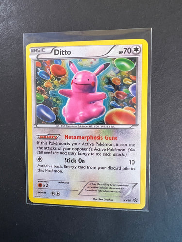 Ditto - XY40 Holo Rare Promo Pokemon Card!