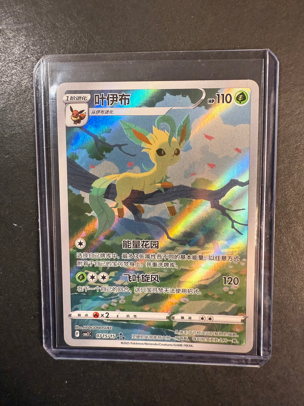 Leafeon - 0715/15 Holo Ultra Rare - Pokemon Chinese Gem Set Volume 2 JAB Games13 Leafeon - 0715/15 Holo Ultra Rare - Pokemon Chinese Gem Set Volume 2 JAB Games13
