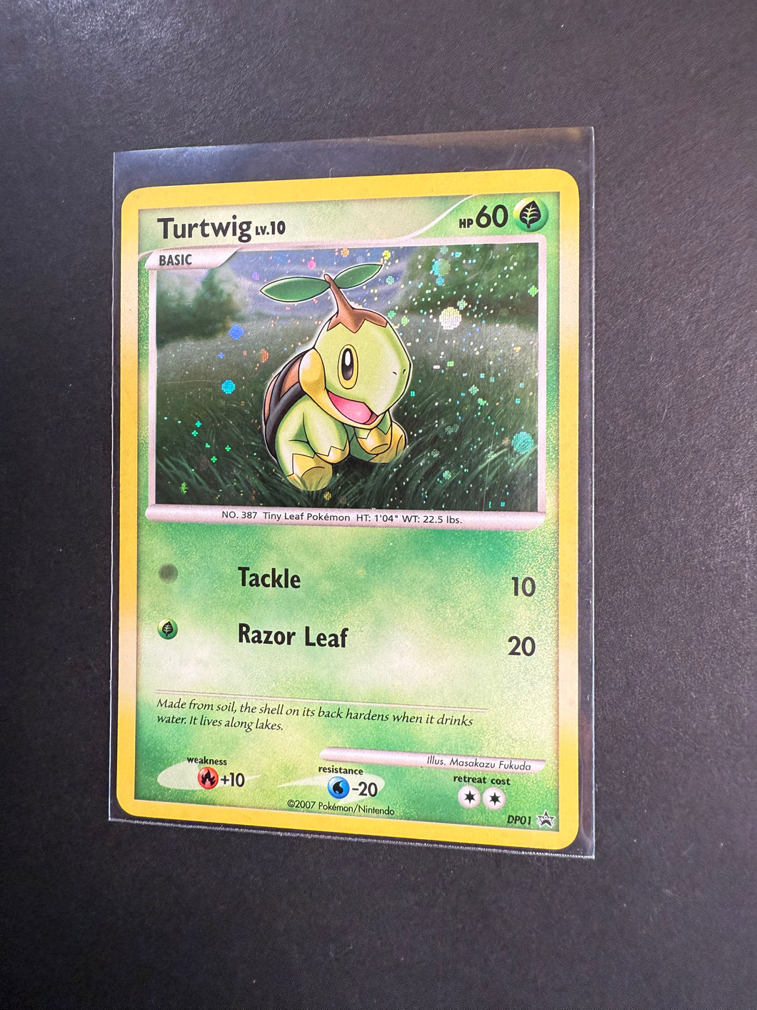 Turtwig - DP01 Holo Rare Promo - Diamond and Pearl