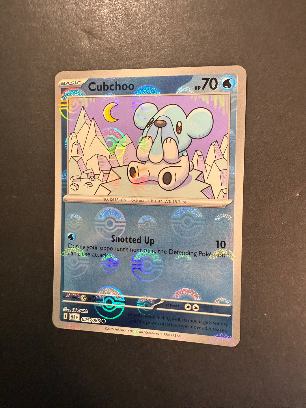 Cubchoo - 025/086 Pokeball Holo Rare - Pokemon Black Bolt JAB Games13 Cubchoo - 025/086 Pokeball Holo Rare - Pokemon Black Bolt JAB Games13