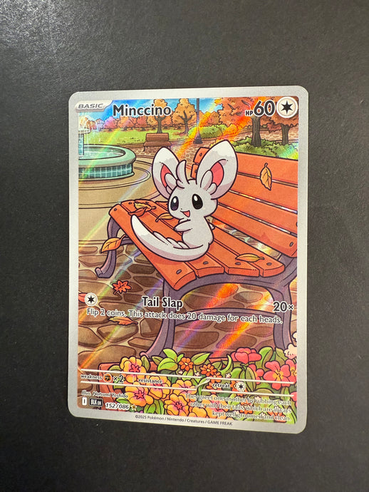 Minccino - 152/086 Full Art Holo Rare - Pokemon Black Bolt