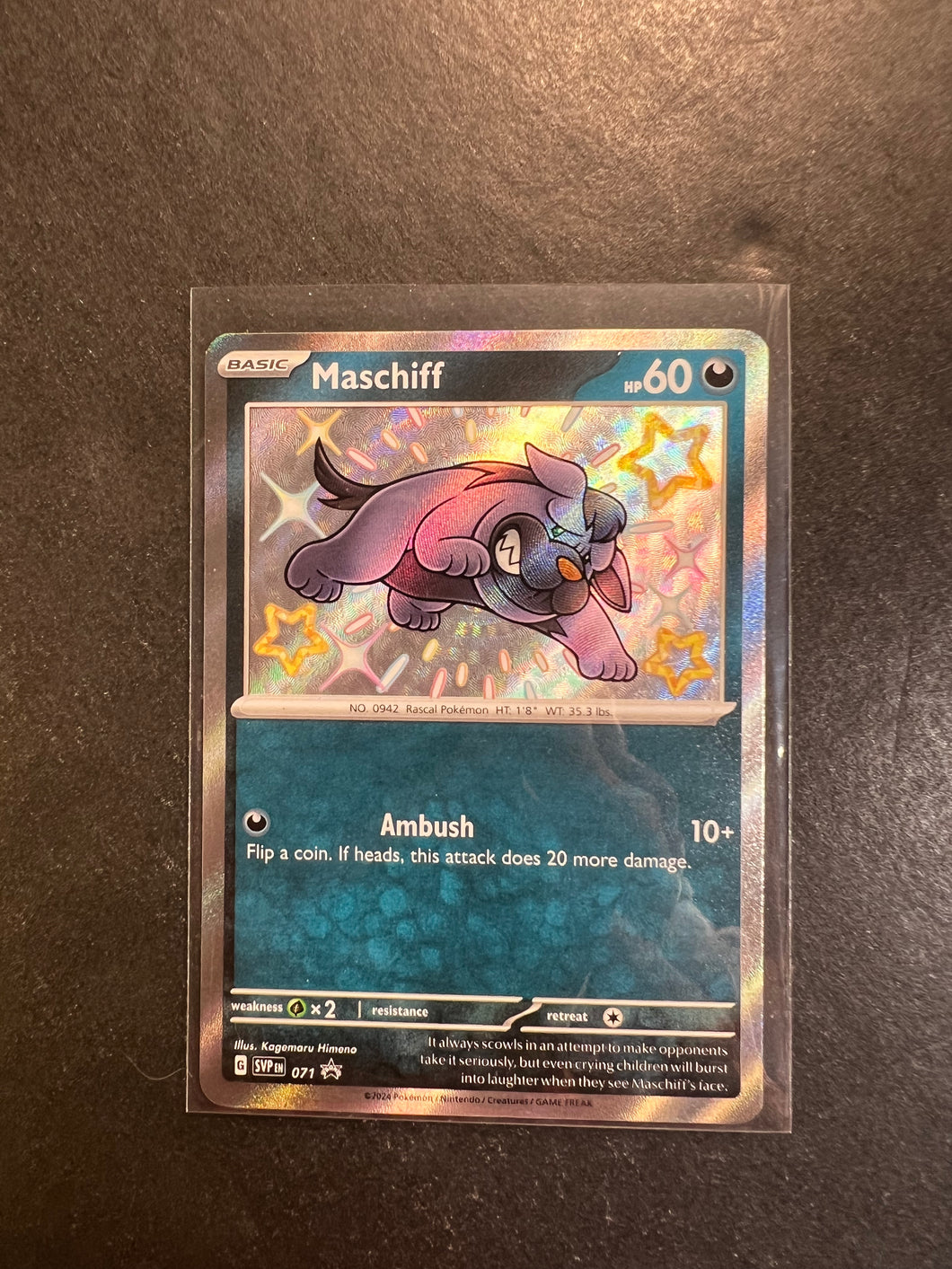 Maschiff - 071 Shiny Ultra Rare Promo - Paldean Fates JAB Games13 Maschiff - 071 Shiny Ultra Rare Promo - Paldean Fates JAB Games13