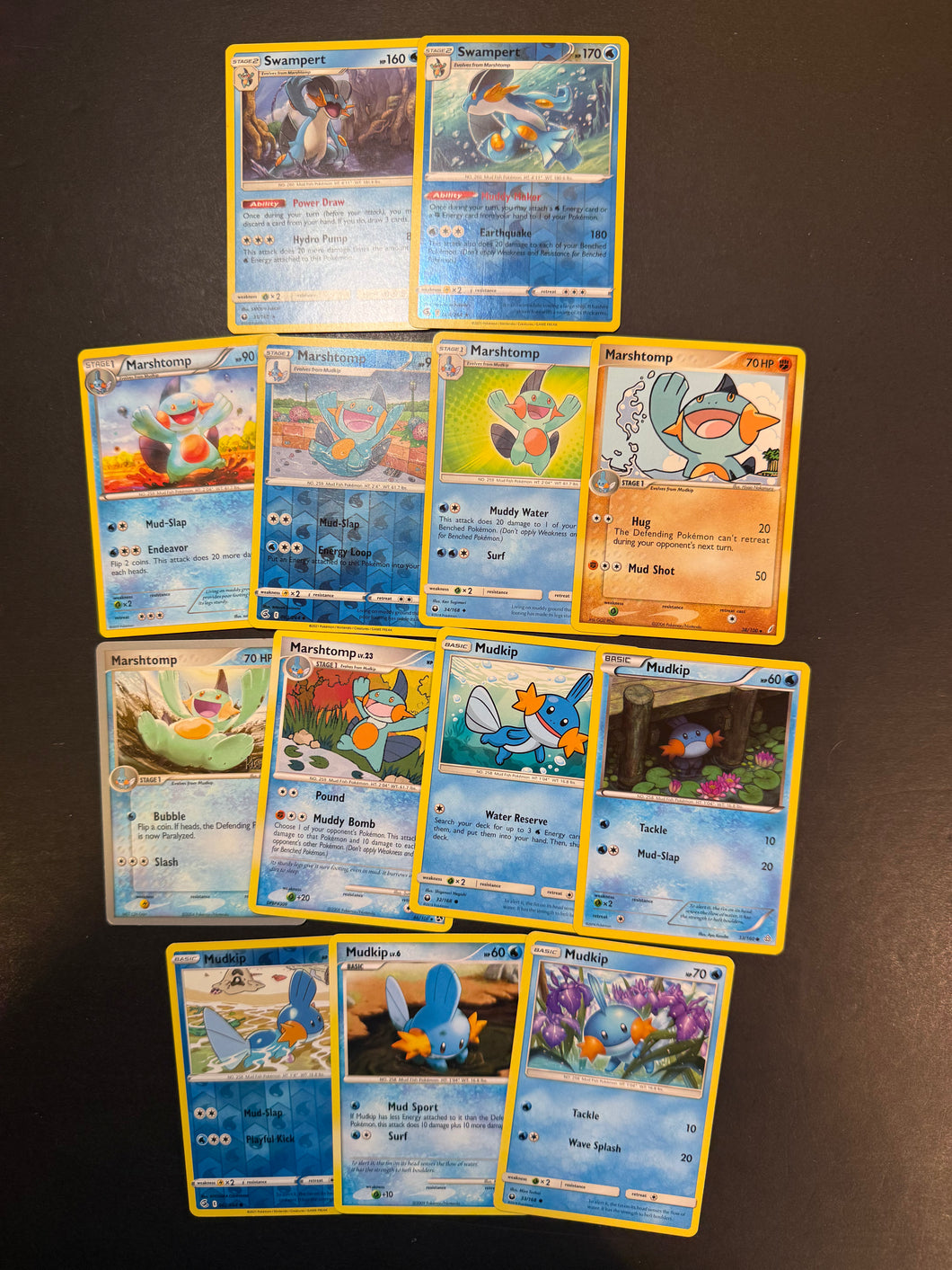 Pokemon Mudkip, Marshtomp & Swampert Card Lot - 13 Cards - Vintage & Holo Rare! Pokemon Mudkip, Marshtomp & Swampert Card Lot - 13 Cards - Vintage & Holo Rare!