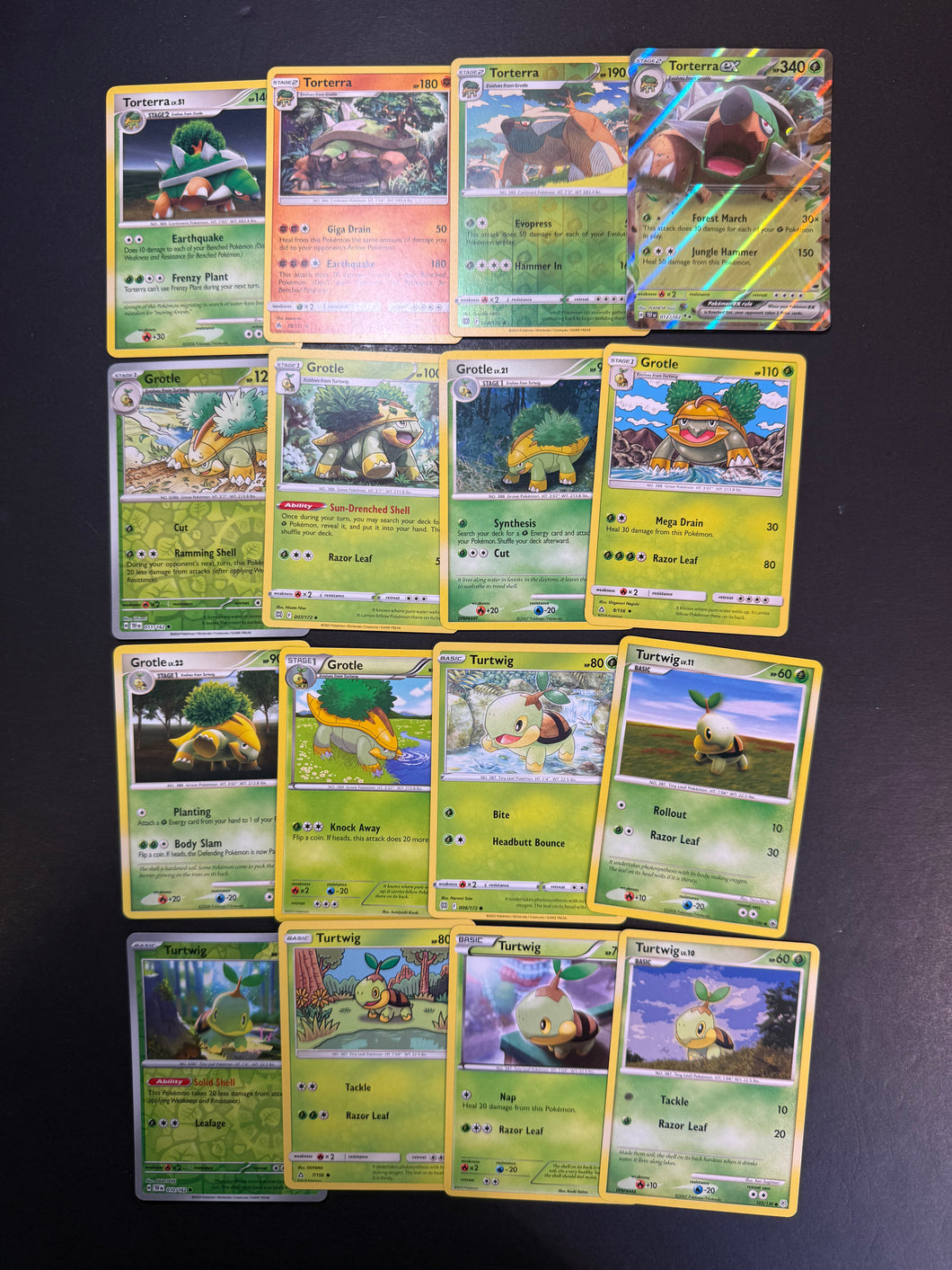 Pokemon Turtwig, Grotle and Torterra ex Card Lot - 16 Cards - Holo Rare, Reverse Holos and Promo Collection!