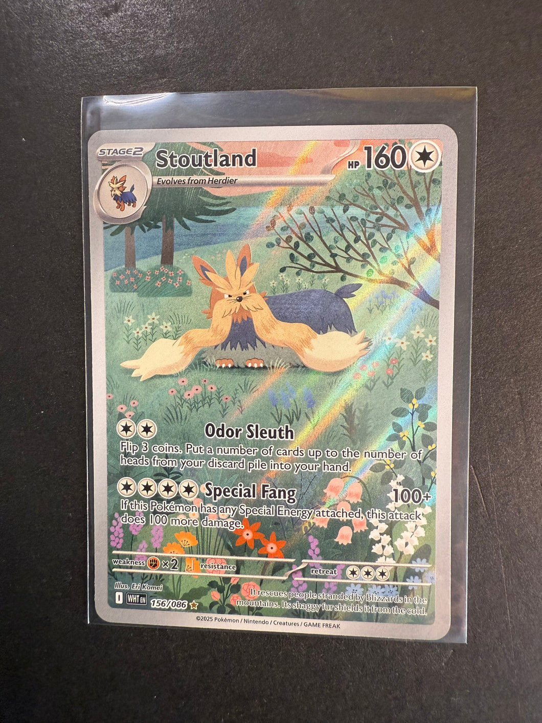 Stoutland - 156/086 Ultra Rare Art - Pokemon White Flare