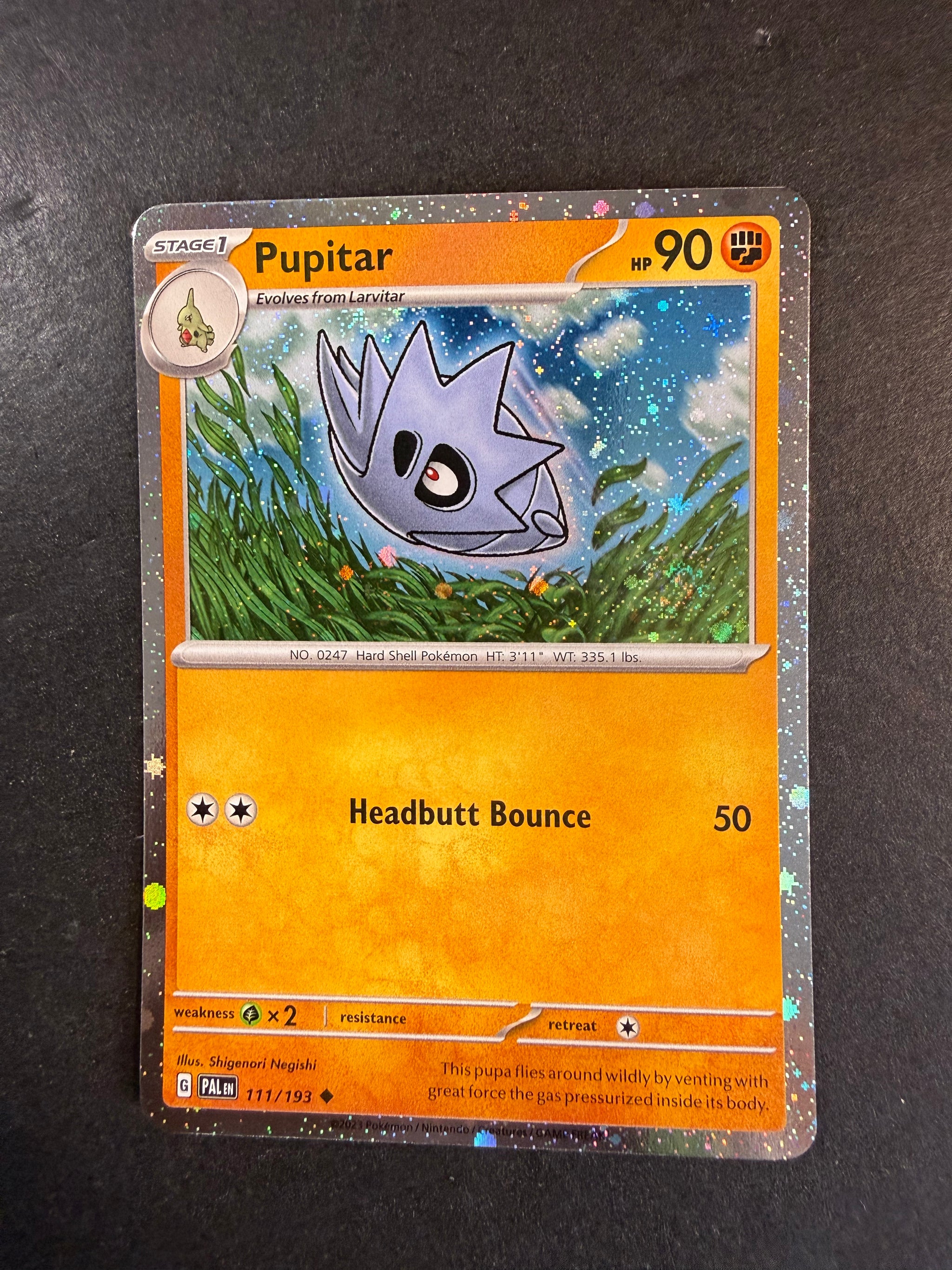 Pokemon Paldea Evolved JAB Games13 Pokemon Paldea Evolved JAB Games13