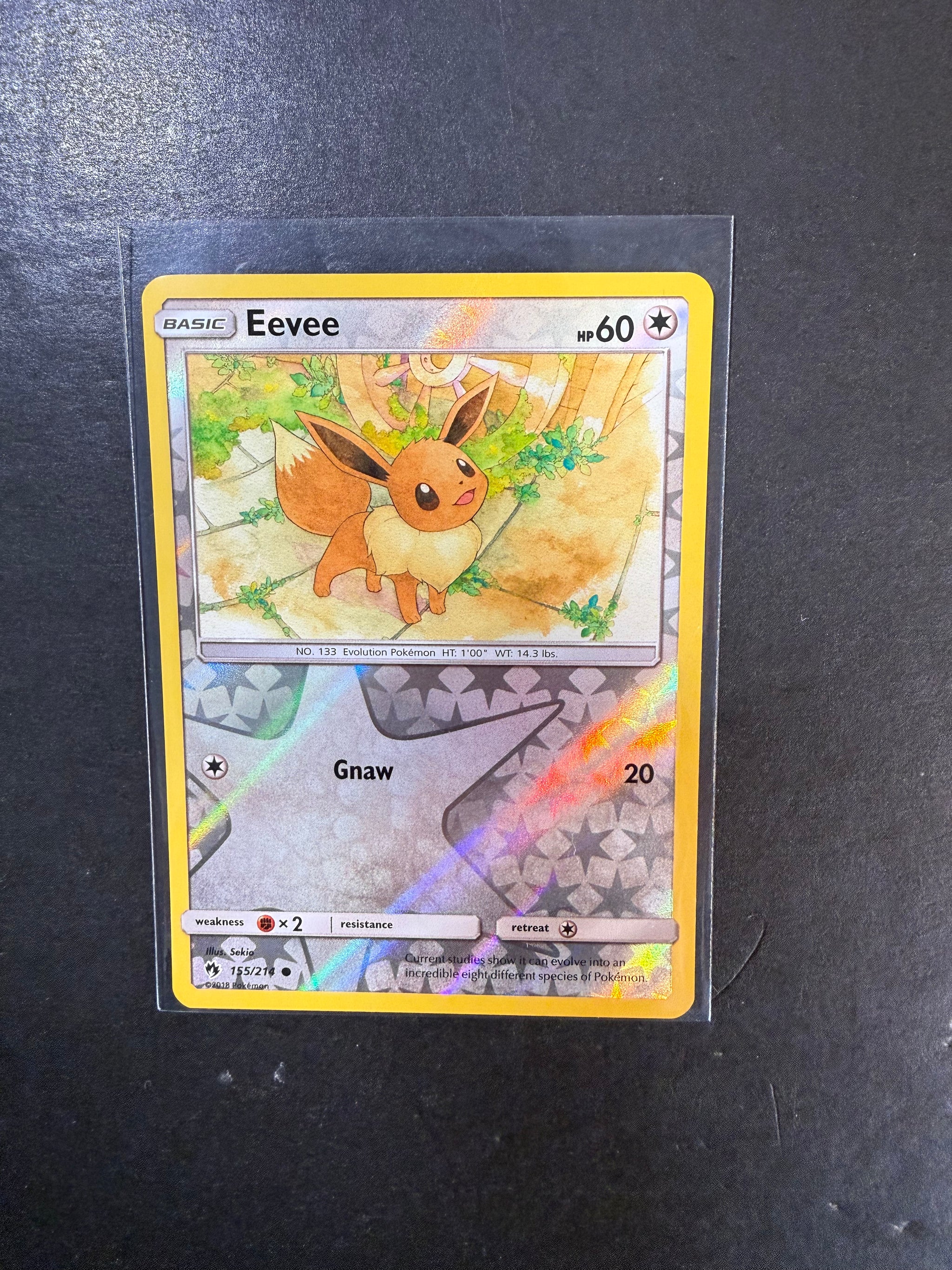 pokemon terastal festival booster box 💎 Terastal Festival Booster Box (5x) – Wholesale Bundle ($207/Box) – Poke  Guru Trading Cards main image 0