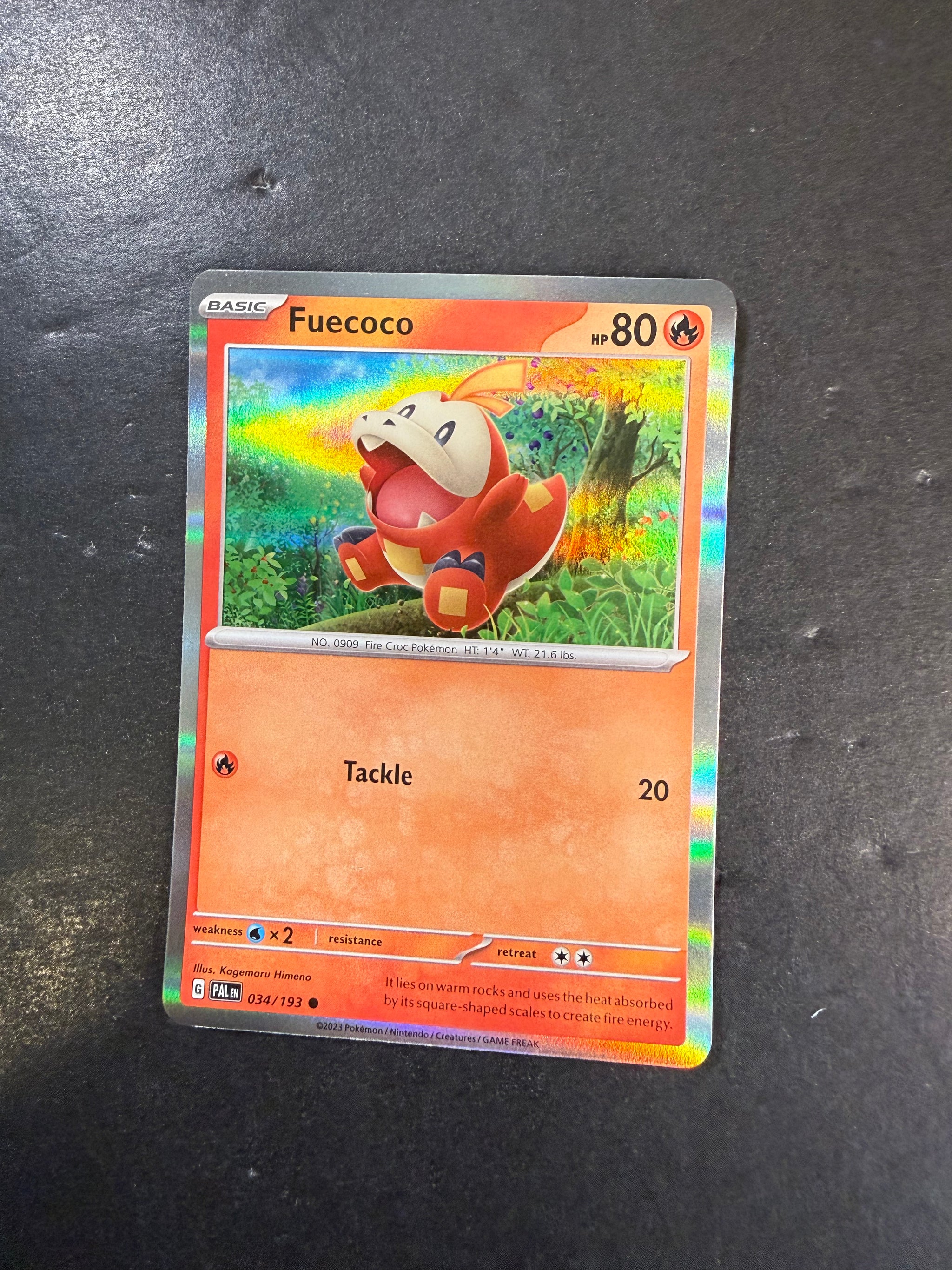Jab Games Pokemon Card Shop – JAB Games13