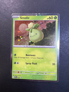 Smoliv - 023 Holo Rare Promo - Paldea Evolved