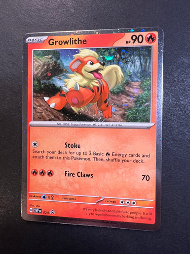 Growlithe - 024 Holo Rare Promo - Paldea Evolved