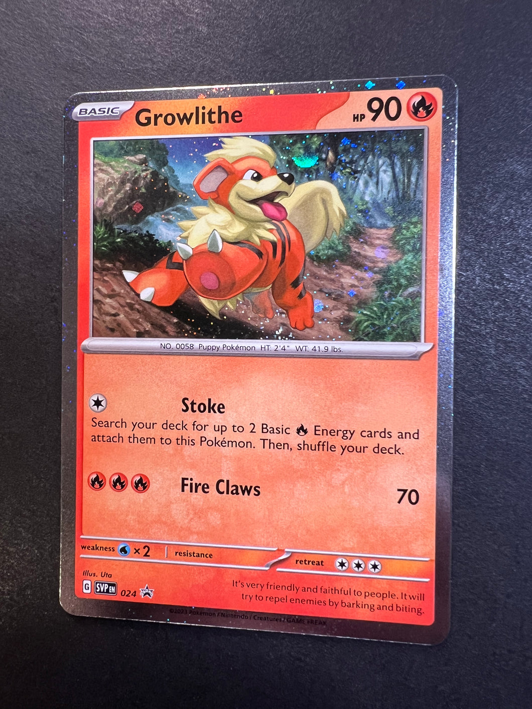 Growlithe - 024 Holo Rare Promo - Paldea Evolved Growlithe - 024 Holo Rare Promo - Paldea Evolved