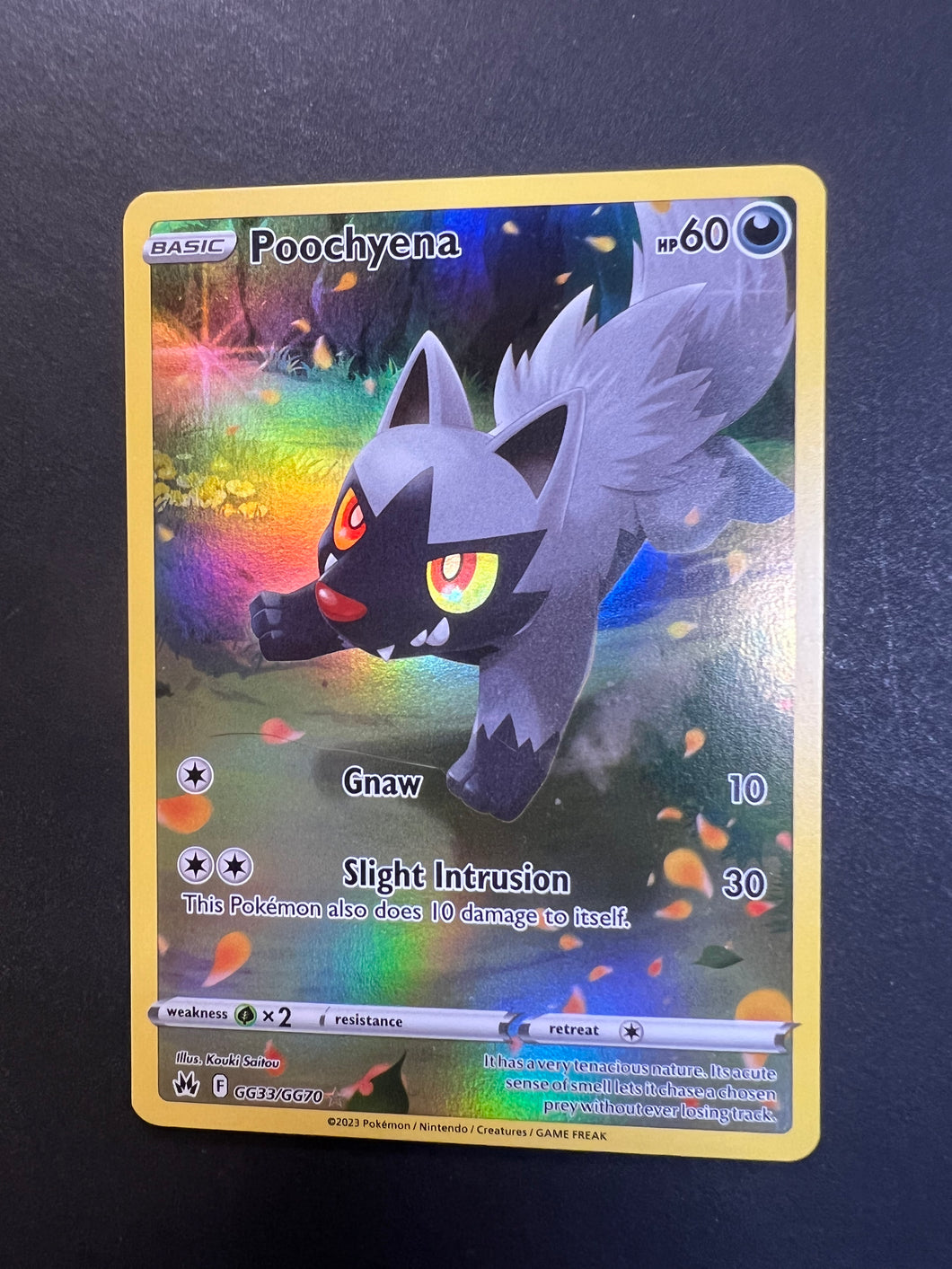 Poochyena - GG33/GG70 Holo Ultra Rare - Crown Zenith JAB Games13 Poochyena - GG33/GG70 Holo Ultra Rare - Crown Zenith JAB Games13