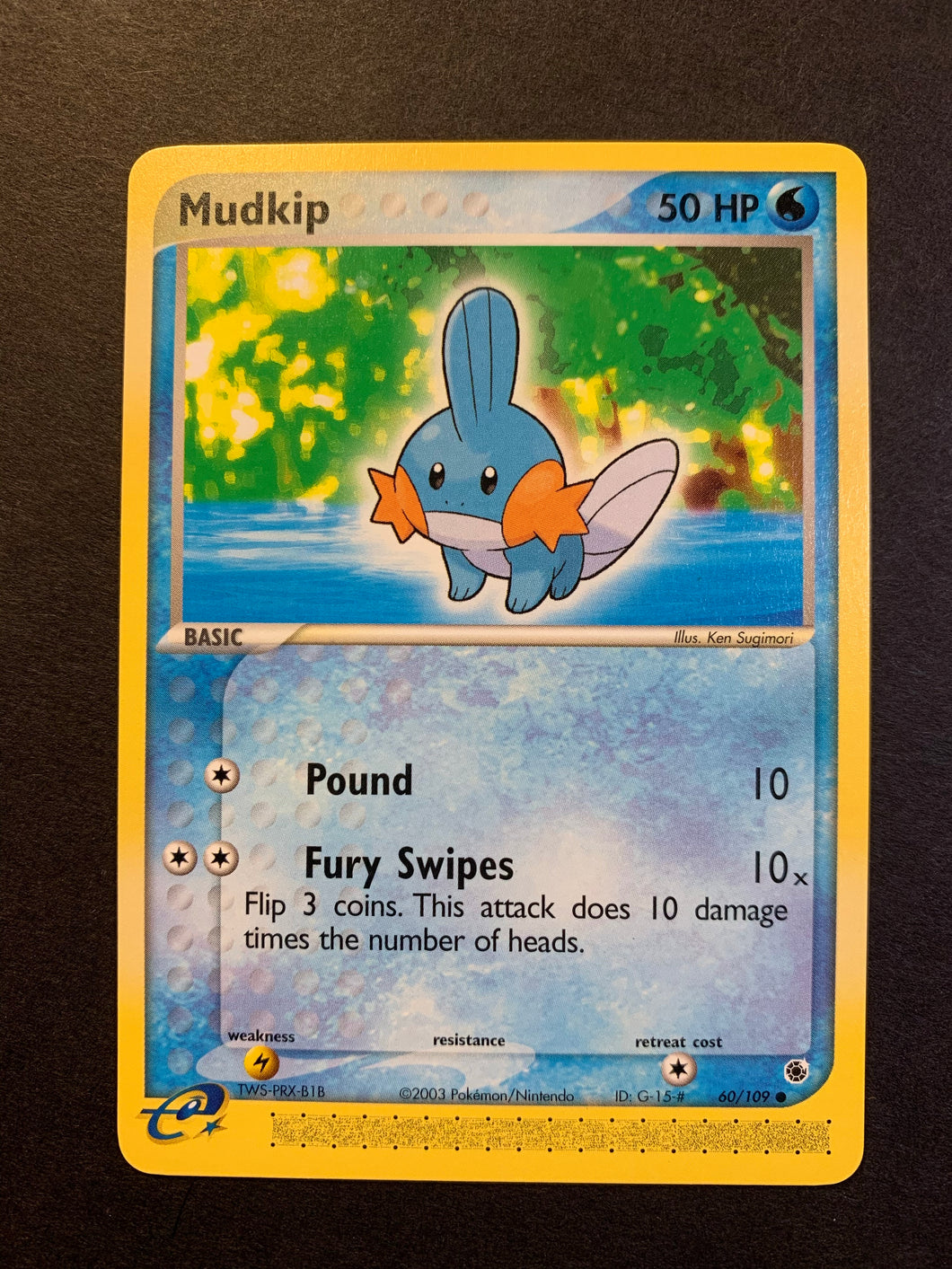 Mudkip - 60/109 Non-Holo Common - Ex Ruby & Sapphire JAB Games13 Mudkip - 60/109 Non-Holo Common - Ex Ruby & Sapphire JAB Games13