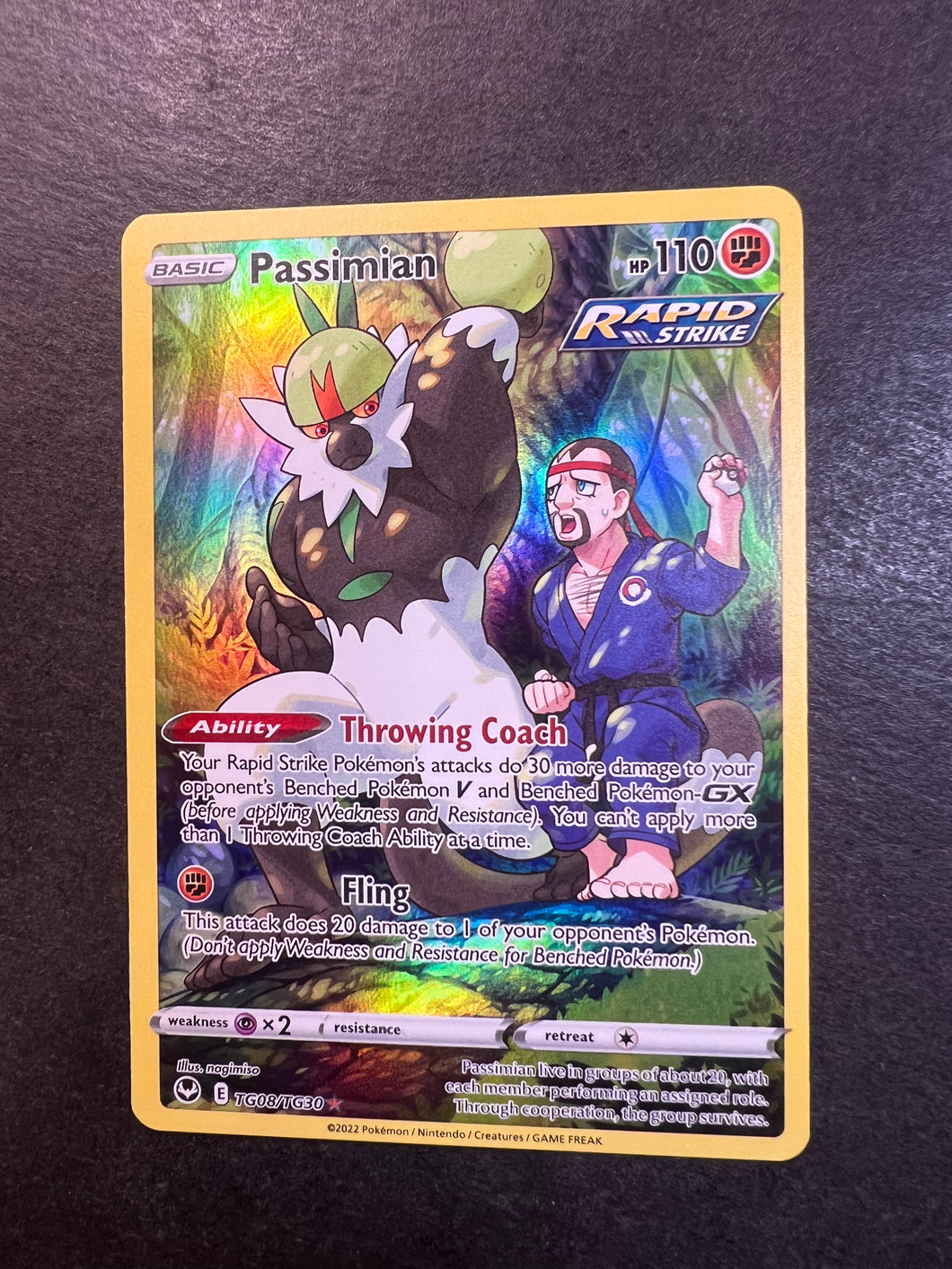 Passimian - TG08/TG30 Holo Ultra Rare - Silver Tempest JAB Games13 Passimian - TG08/TG30 Holo Ultra Rare - Silver Tempest JAB Games13