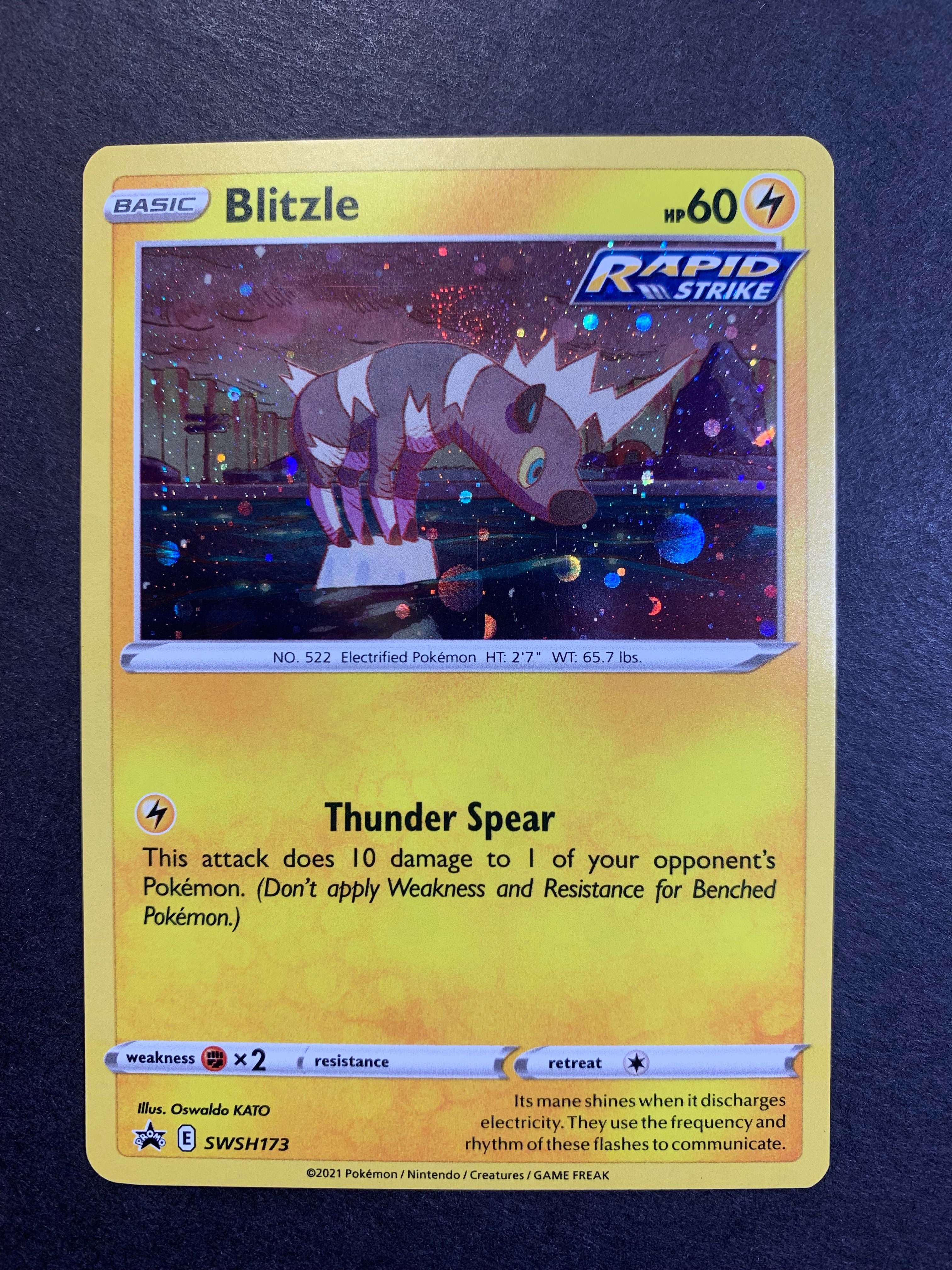 Pokemon Trading Card Game Sword & Shield Promo Blitzle SWSH173 Pokemon Trading Card Game Sword & Shield Promo Blitzle SWSH173