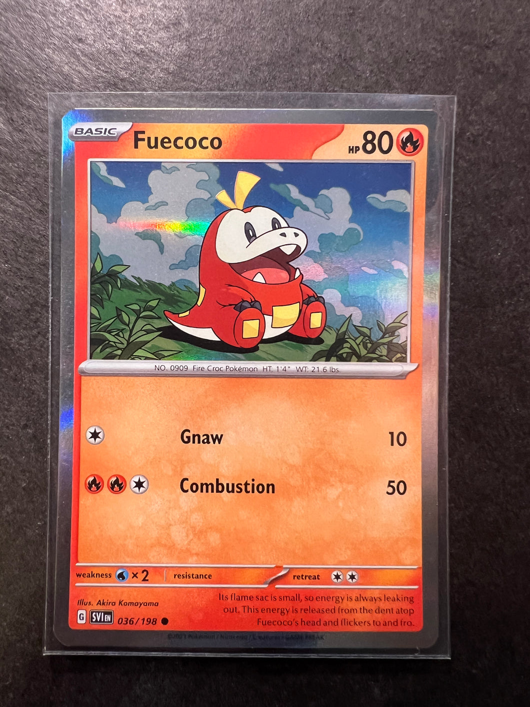 fuecoco pokemon card holographic Fuecoco