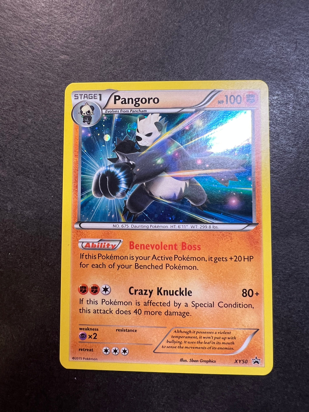 Pangoro - XY50 Holo Rare Promo JAB Games13 Pangoro - XY50 Holo Rare Promo JAB Games13