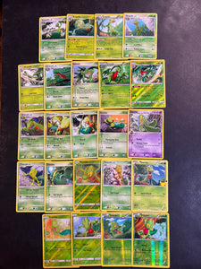 Pokemon Treecko, Grovyle & Sceptile Card Lot - 23 Cards - Holo, Revers JAB Games13 Pokemon Treecko, Grovyle & Sceptile Card Lot - 23 Cards - Holo, Revers JAB Games13