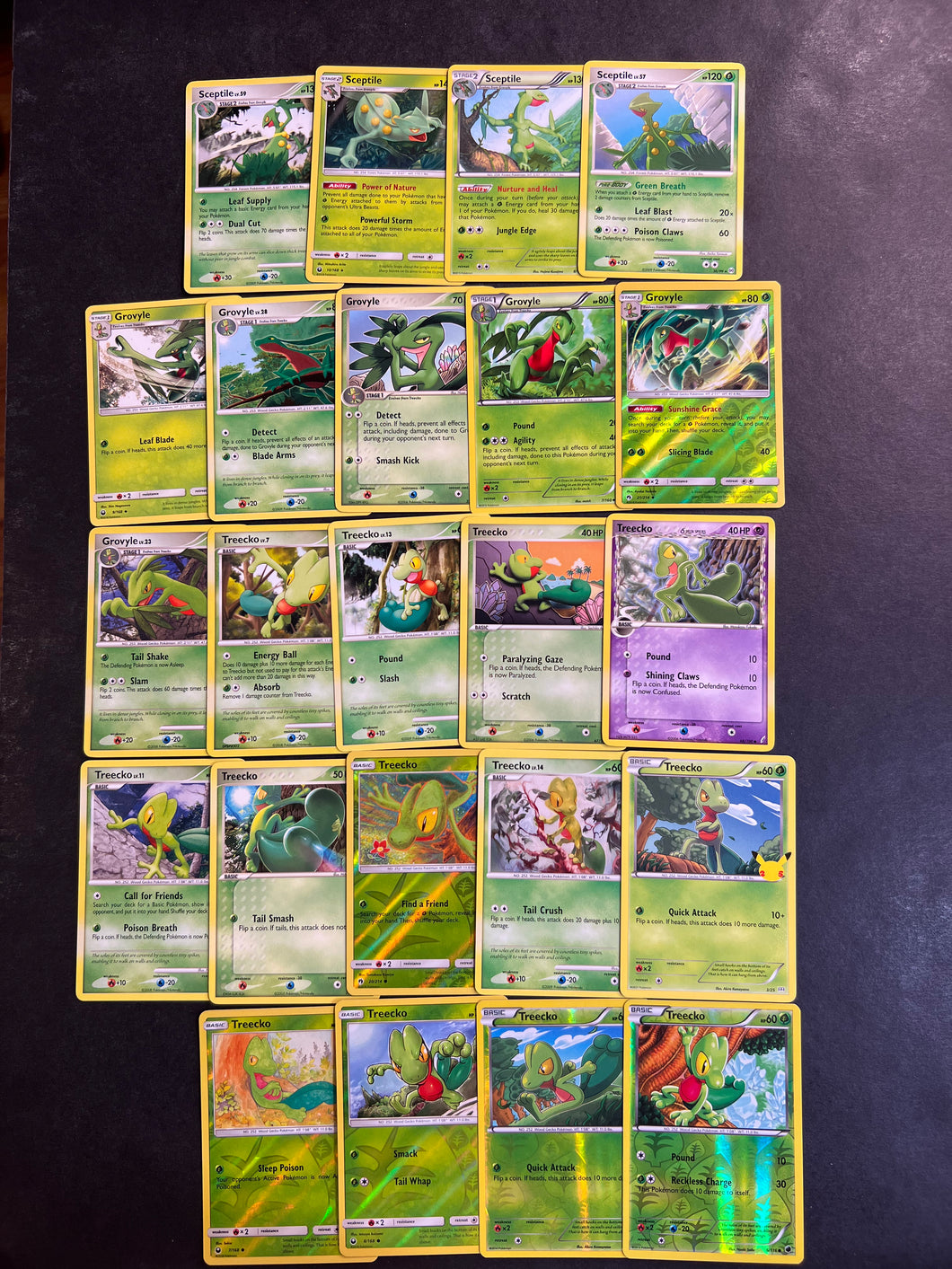 Pokemon Treecko, Grovyle & Sceptile Card Lot - 23 Cards - Holo, Reverse & Vintage!