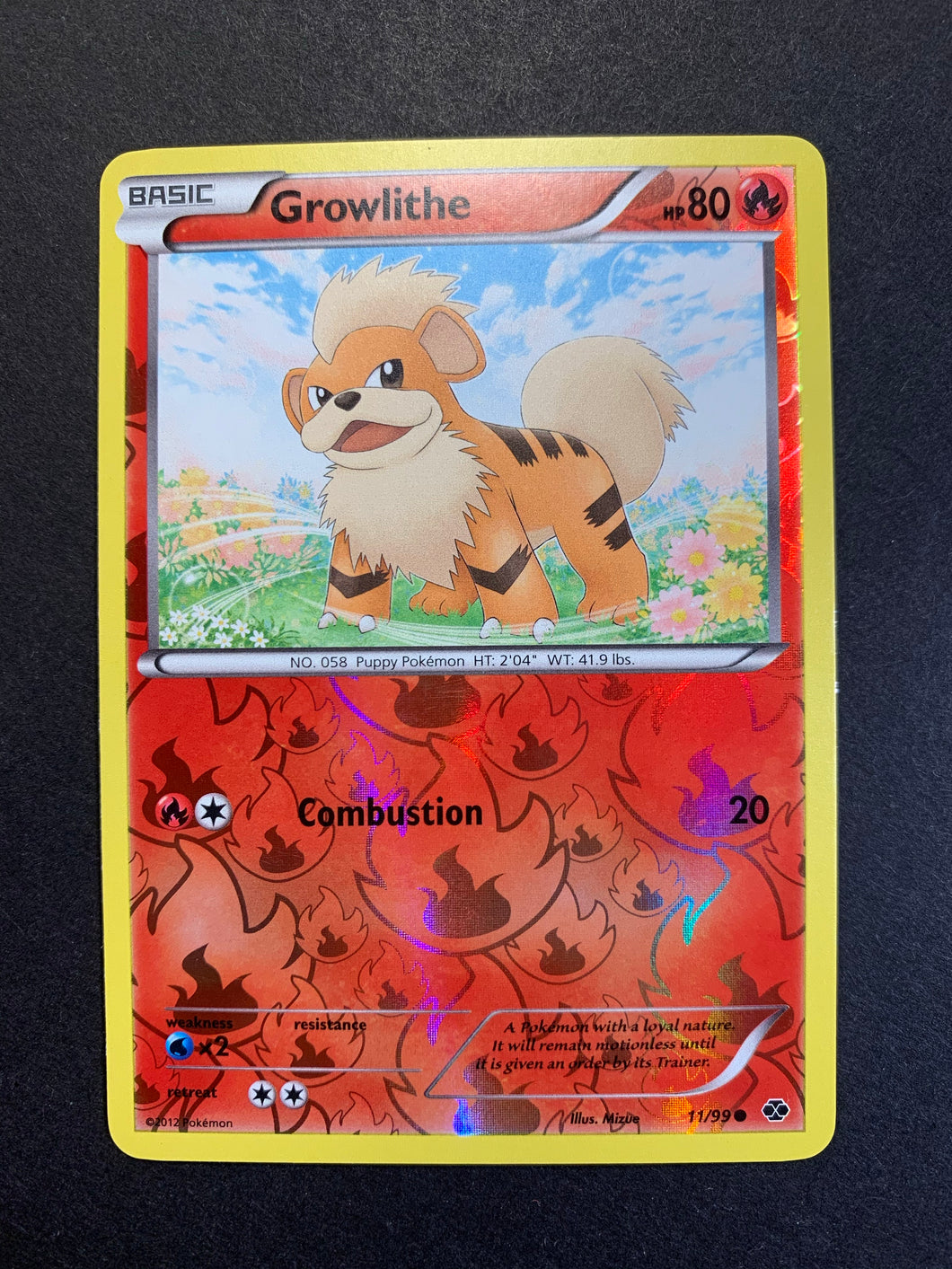 growlithe holographic card Growlithe