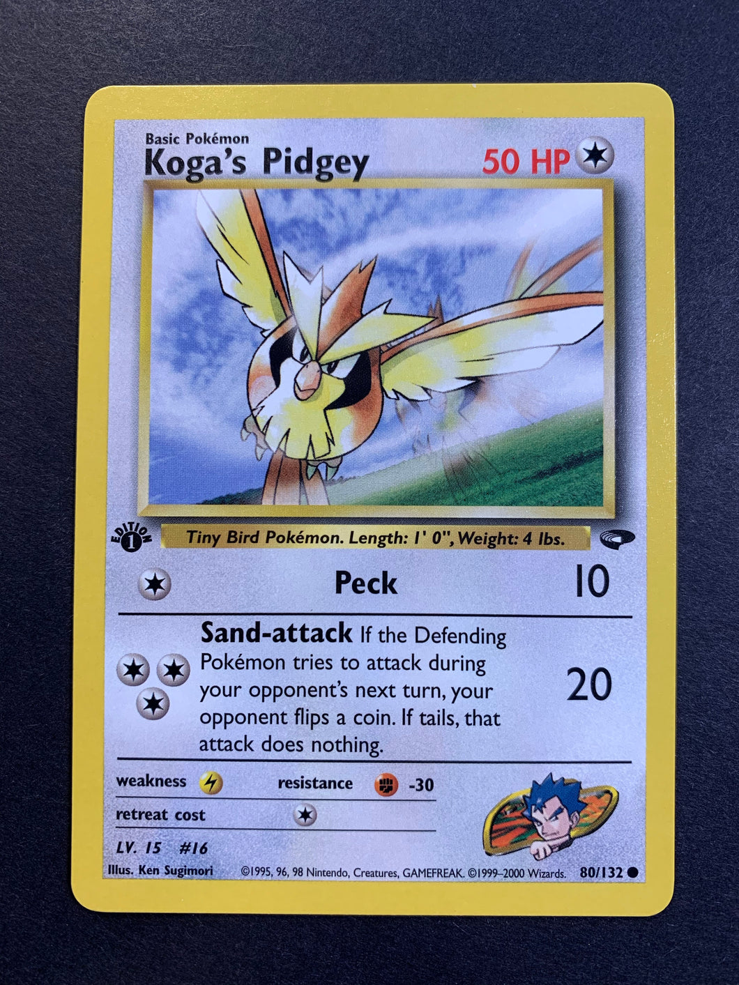 Koga’s Pidgey 1st Edition - 80/132 Gym Challenge