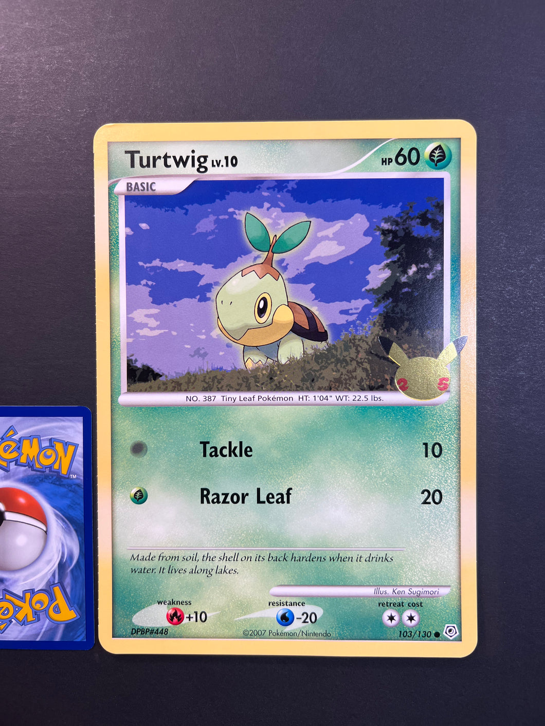 Pokemon Jumbo Turtwig Card - 103/130