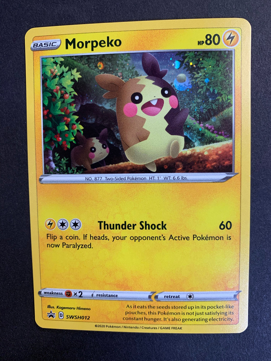 Pokemon Trading Card Game Sword & Shield Promo Morpeko SWSH012 Pokemon Trading Card Game Sword & Shield Promo Morpeko SWSH012