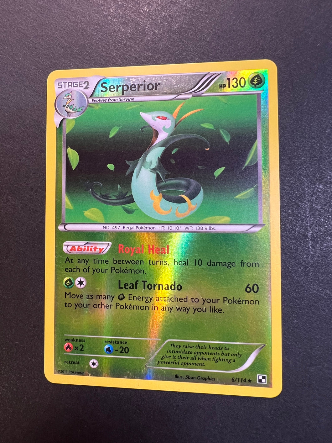 Serperior - 6/114 Reverse Holo Rare - Black and White Base Set