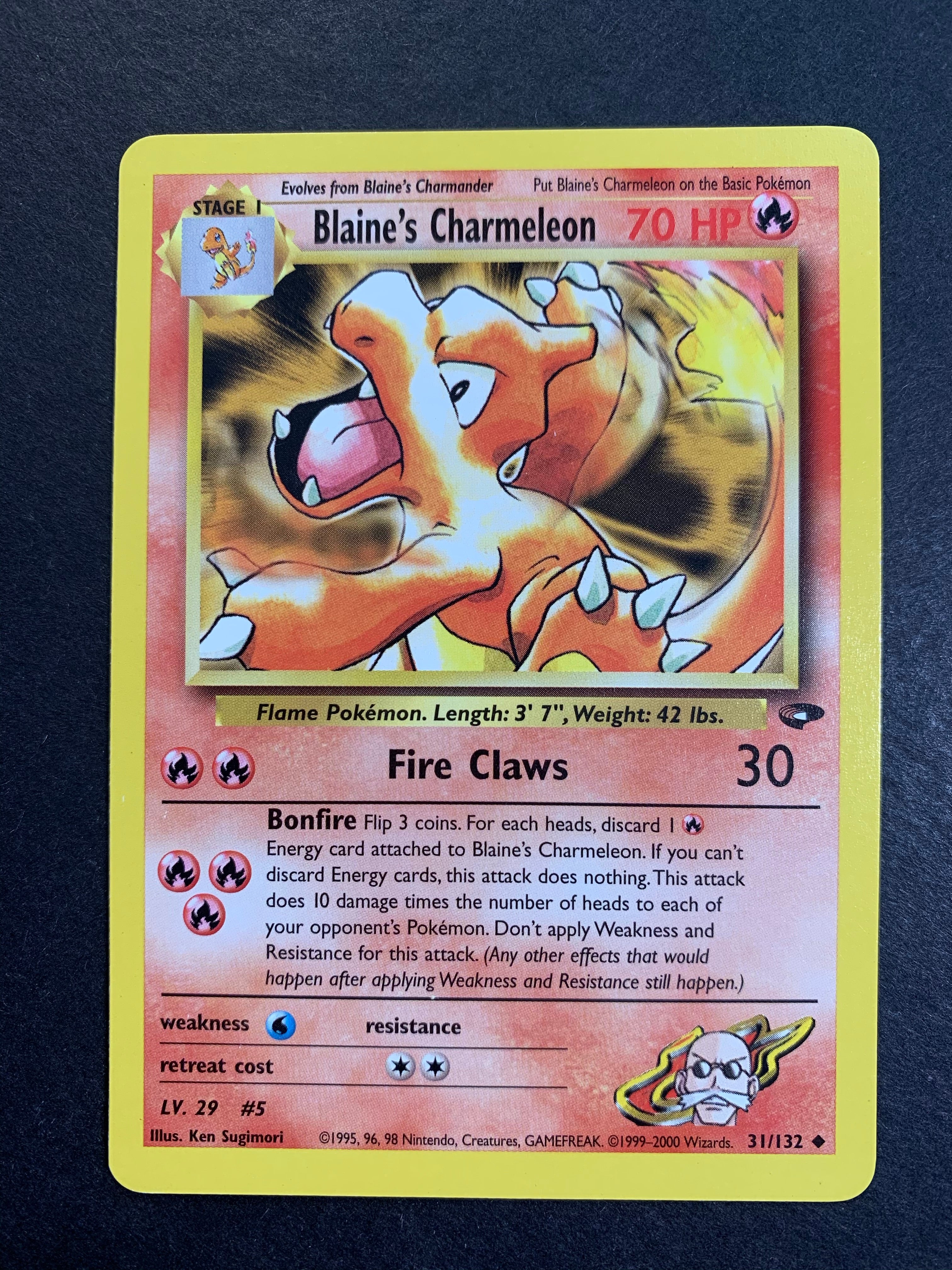 Blaine's Charmeleon | Ozzie Collectables Blaine's Charmeleon | Ozzie Collectables