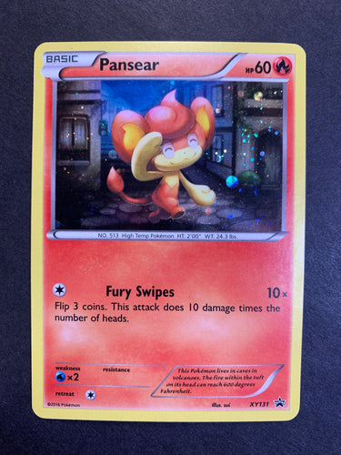Pansear - XY131 Holo Rare Promo