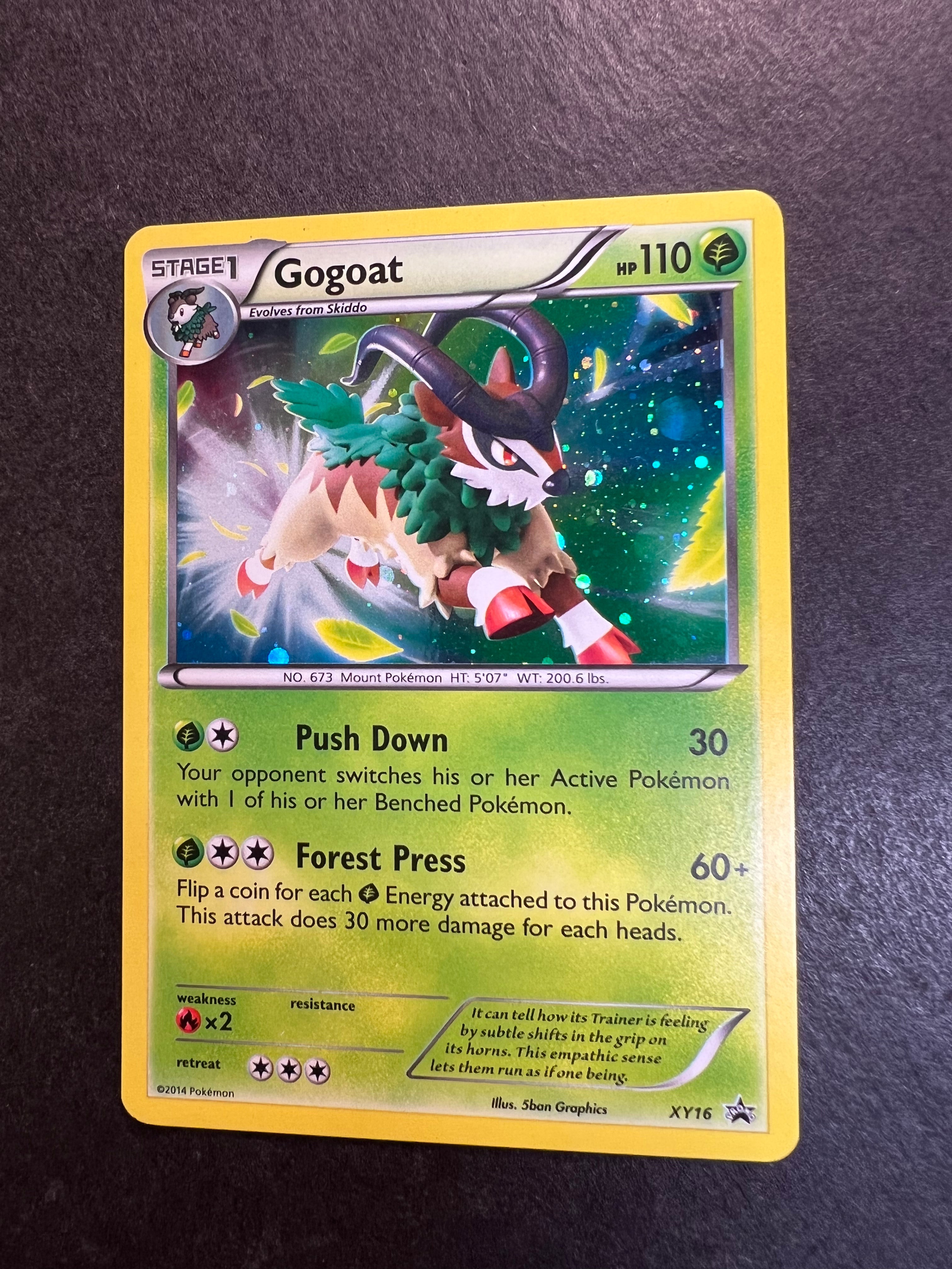 Gogoat - XY16 Holo Rare Promo JAB Games13 Gogoat - XY16 Holo Rare Promo JAB Games13