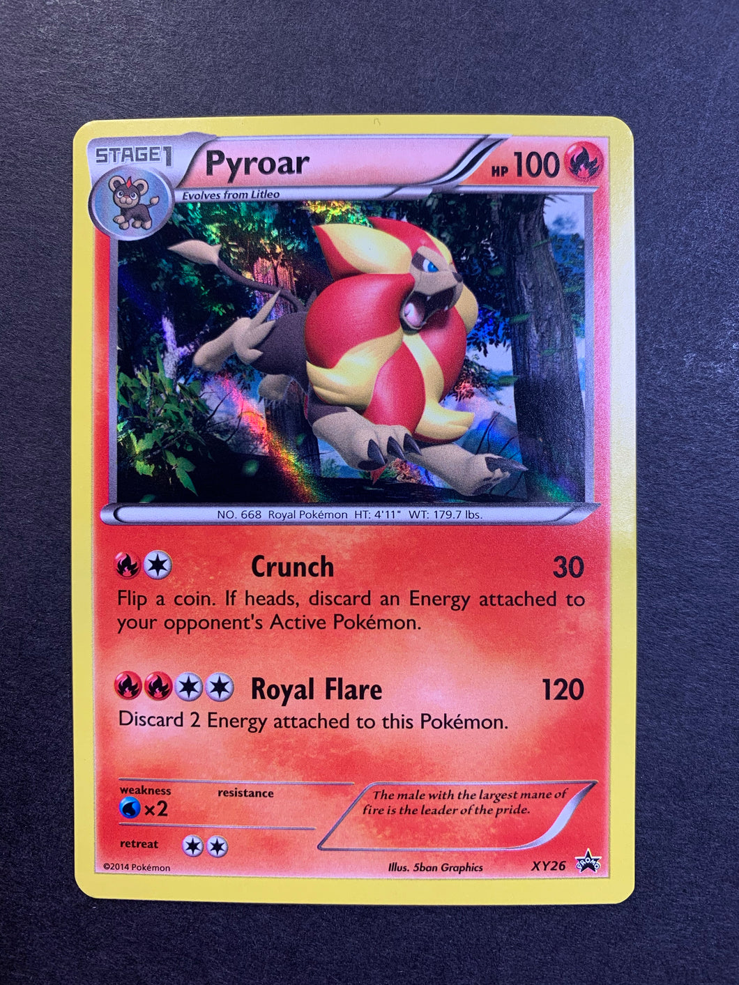 Pyroar - XY26 Holo Rare Promo