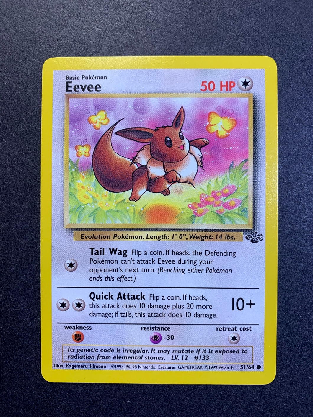 First Edition Pokemon Cards 1999 Pokmon Jungle Set Eevee Card #51/64 Near Mint Condition, Unlimited Edition, WOTC Jolteon Holo Jungle First Edition Pokemon Cards 1999 Pokmon Jungle Set Eevee Card #51/64 Near Mint Condition, Unlimited Edition, WOTC Jolteon Holo Jungle